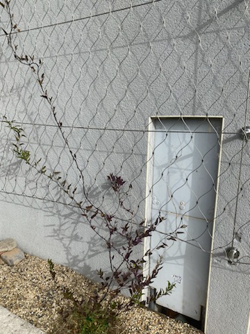 mur végétalisé
